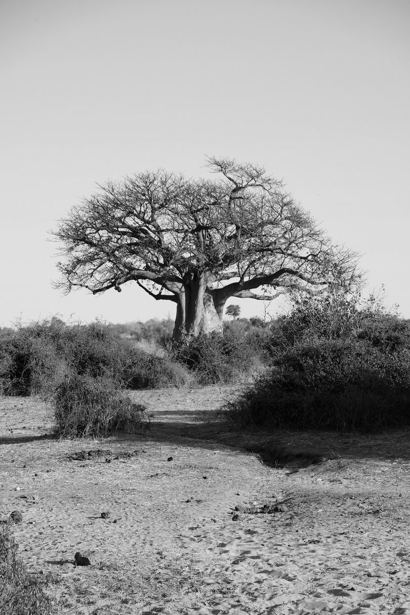 famous-black-and-white-photographers